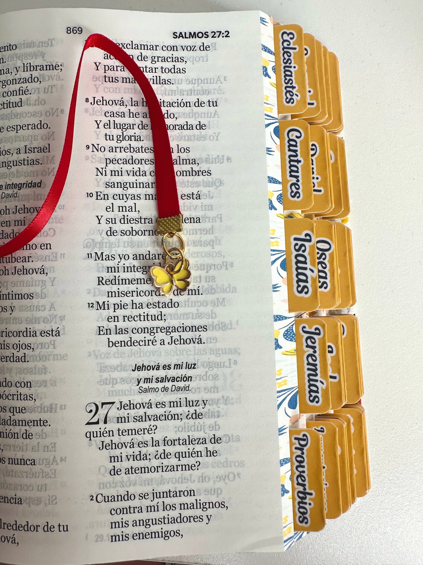 Biblia Compacta 11 puntos RV1960 imit piel con canto pintado primaveral naranja