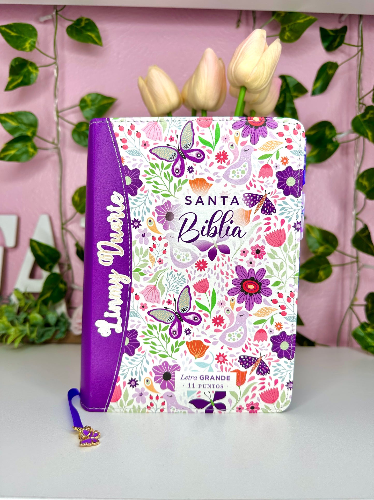 BIBLIA DE MARIPOSAS REINA VALERA