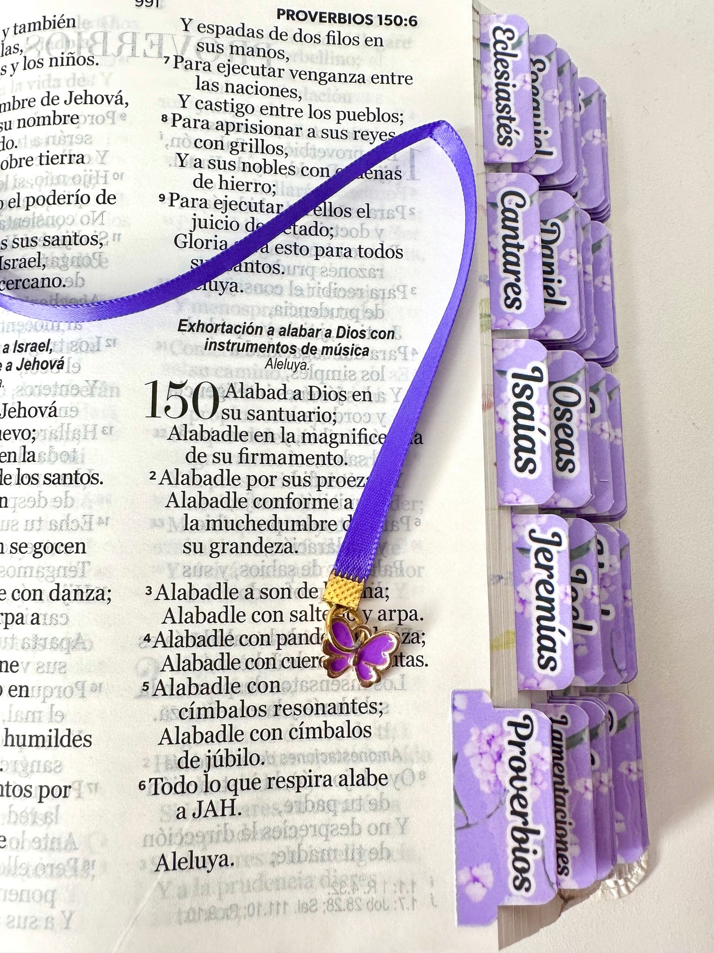 Biblia Compacta 11 puntos RV1960 imit piel con canto pintado primaveral y pájaro