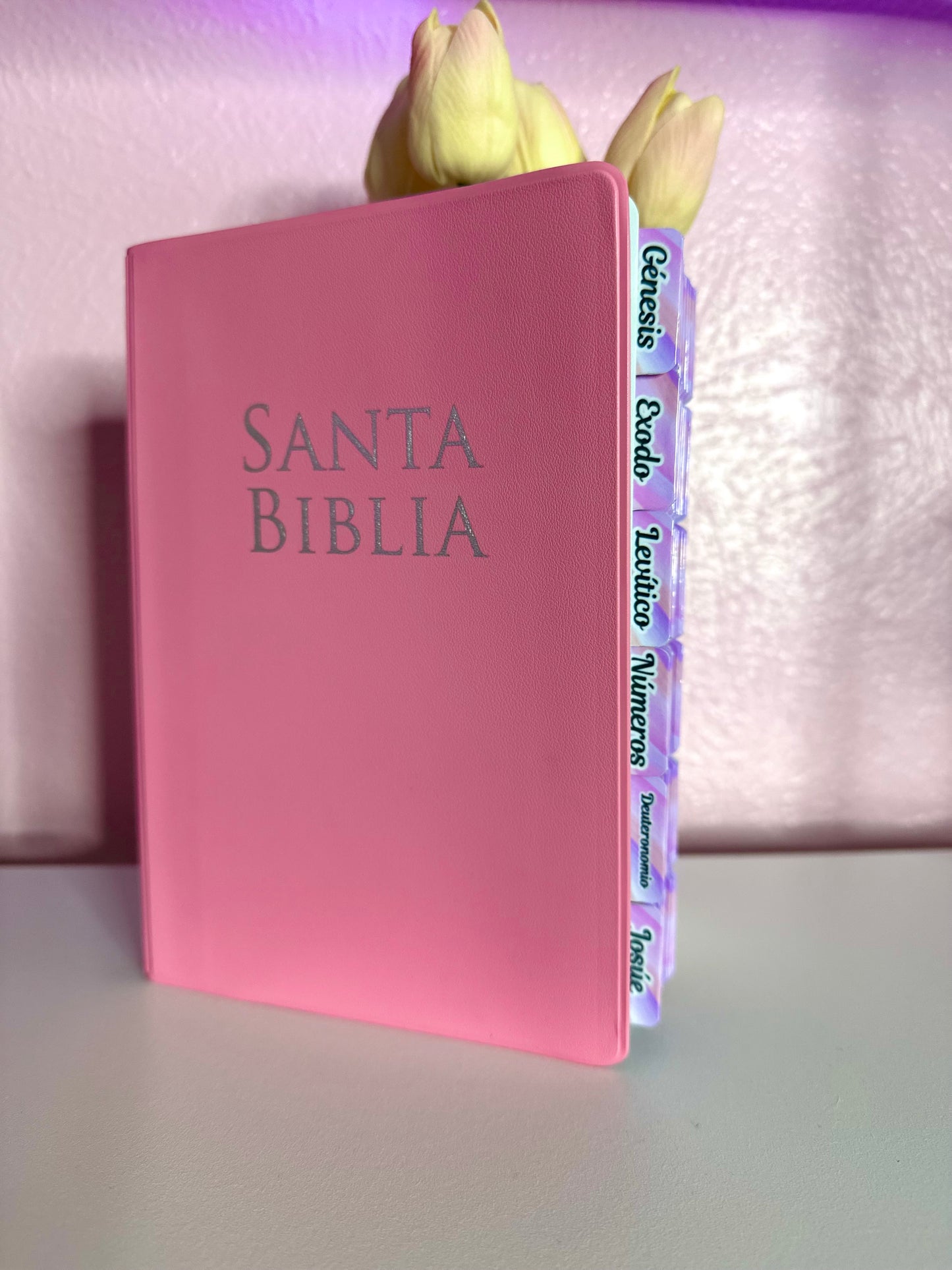 Biblia Rosada con Letra Grande manual RV1960 vinilo rosa