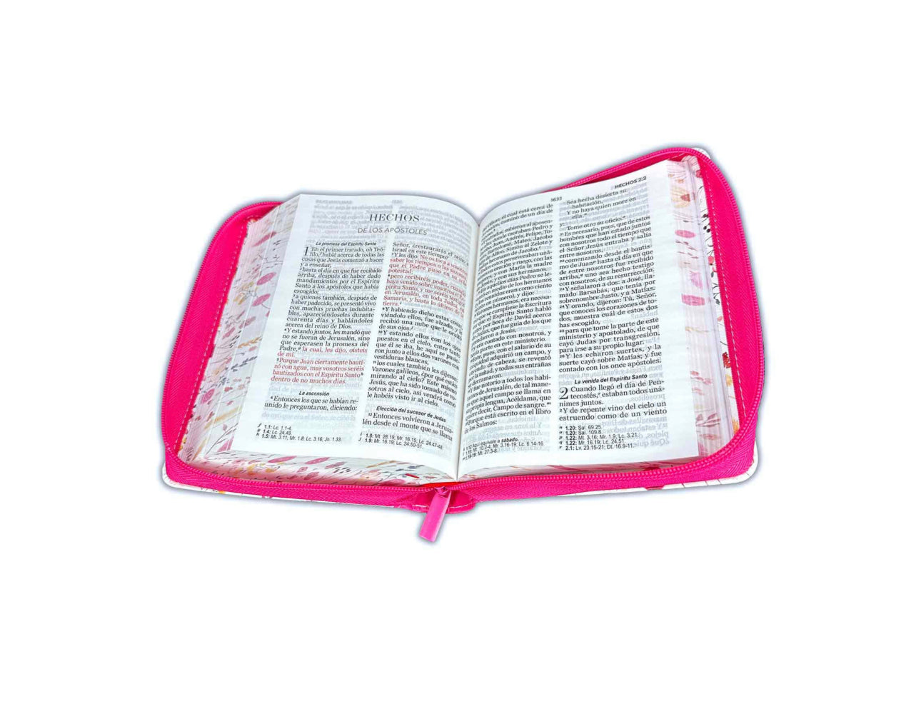 Biblia con Cierre Compacta 11 puntos RV1960 imit piel con canto pintado primaveral fucsia