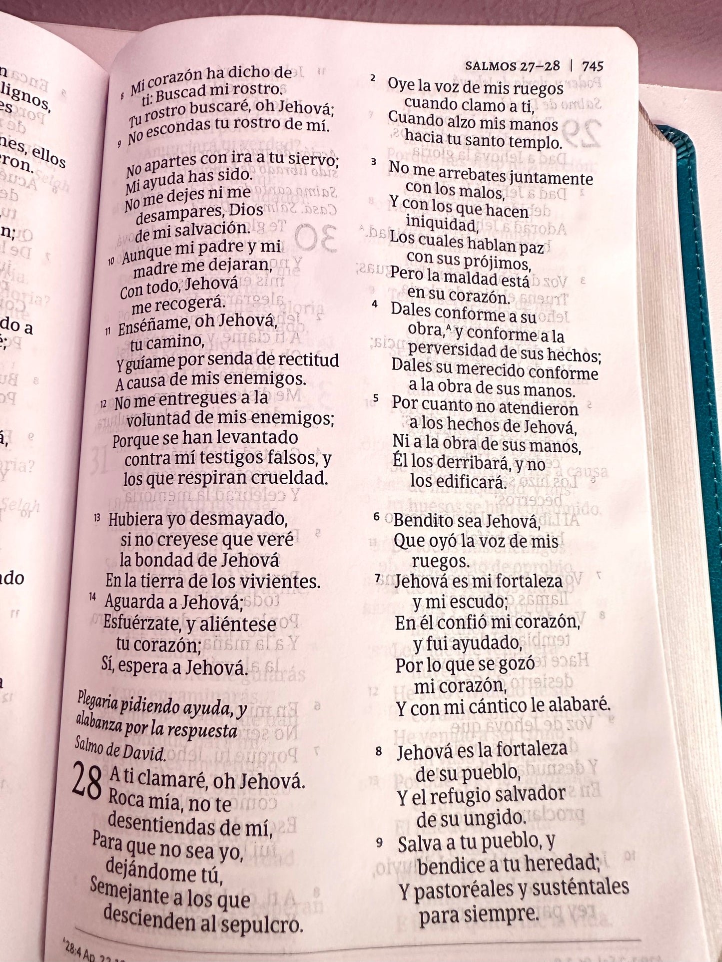 Biblia Letra Grande 12 puntos RV1960 imit. piel turquesa floreada