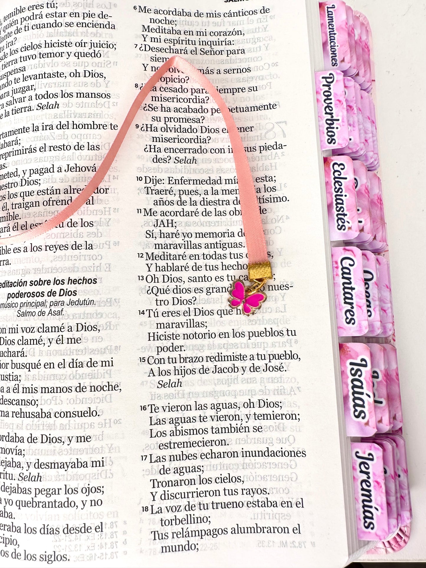 Biblia Letra Grande 12 puntos para Mujer RV1960 tapa flexible rosada floral