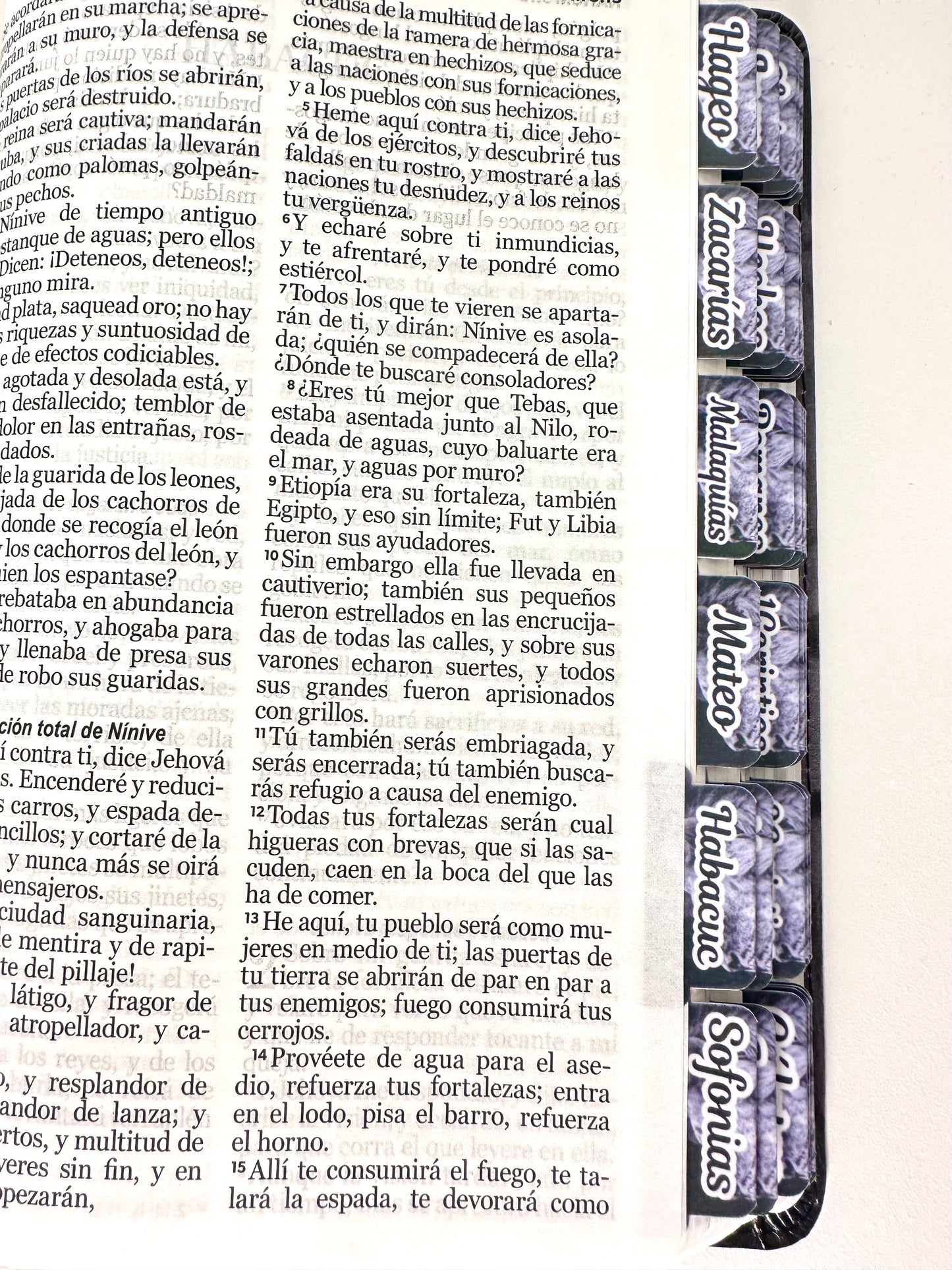 Biblia Letra Grande 12 puntos RV1960 imit piel con silueta de león