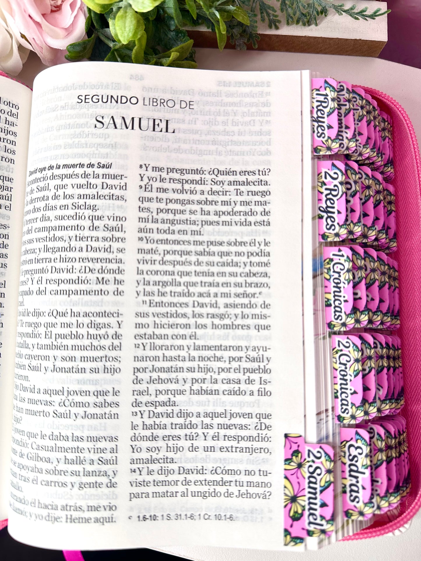 Biblia con Cierre Compacta 11 puntos RV1960 imit piel con canto pintado primaveral rosado