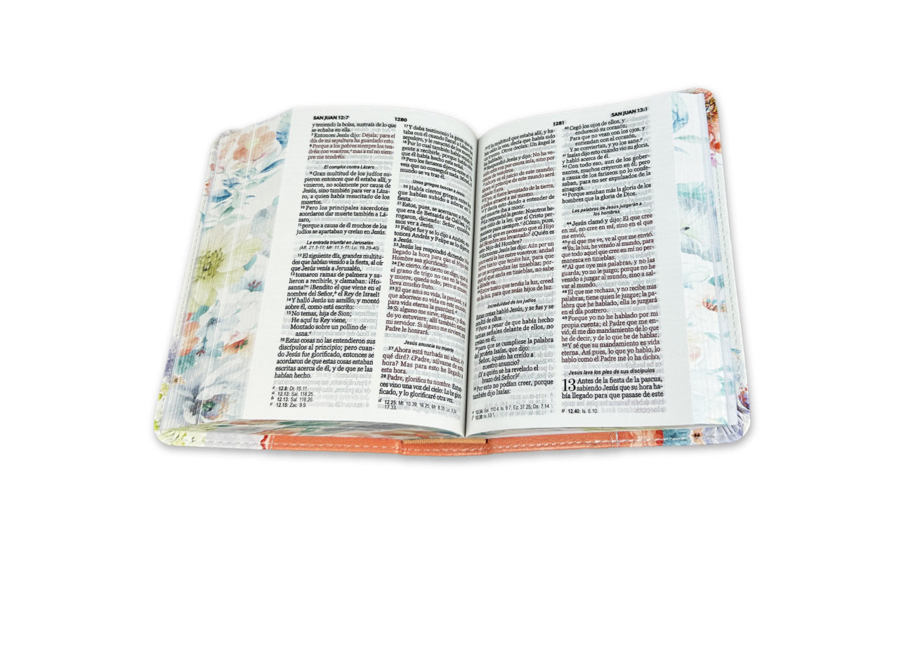 Biblia de Bolsillo RV1960 imit piel con canto coral