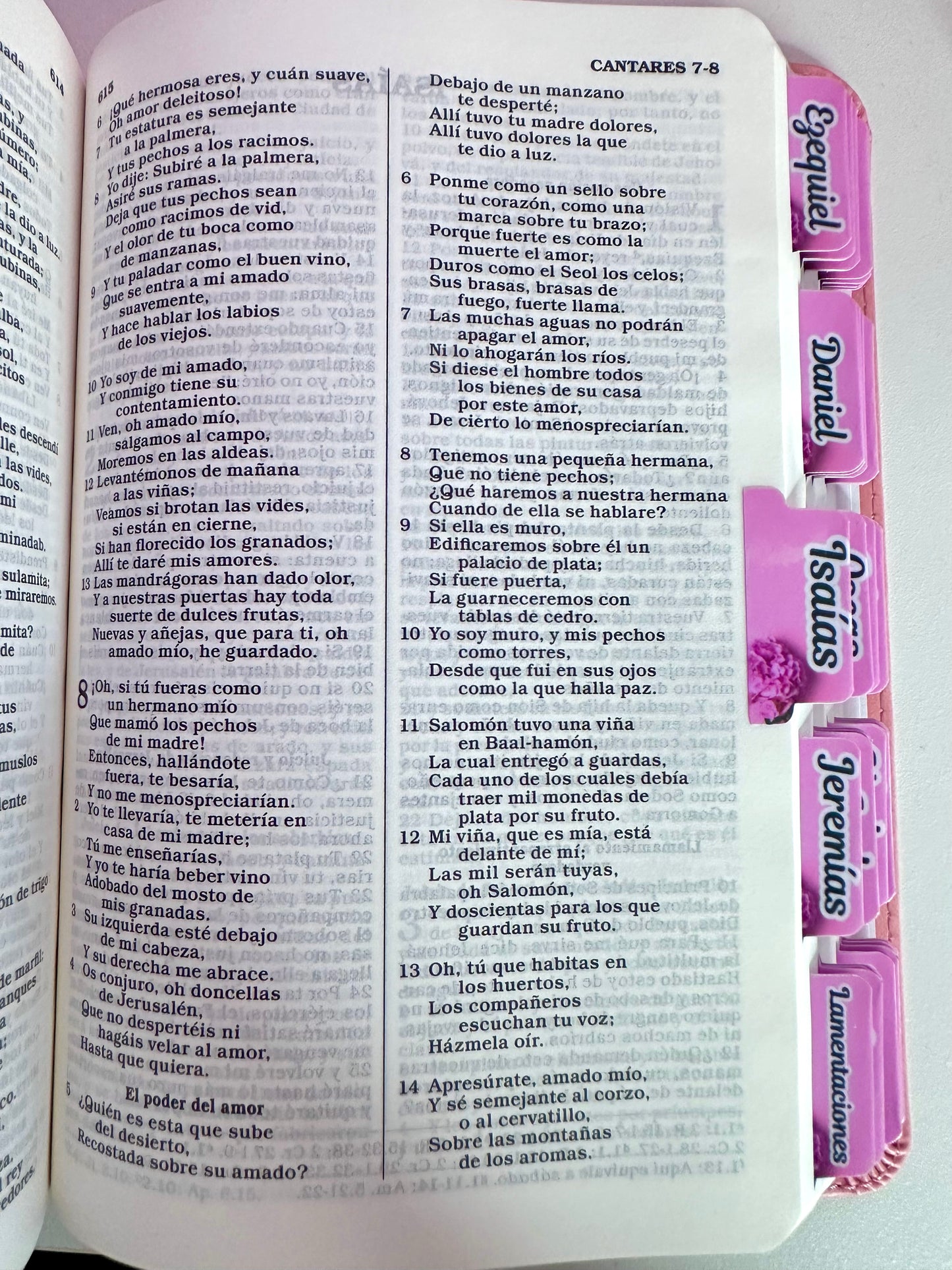 Santa Biblia Rosada-semi piel RV1960