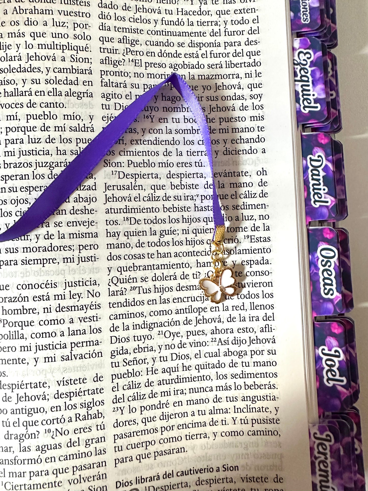 Biblia con Imágenes de la Tierra Santa RV1960, tapa dura tela morado floral