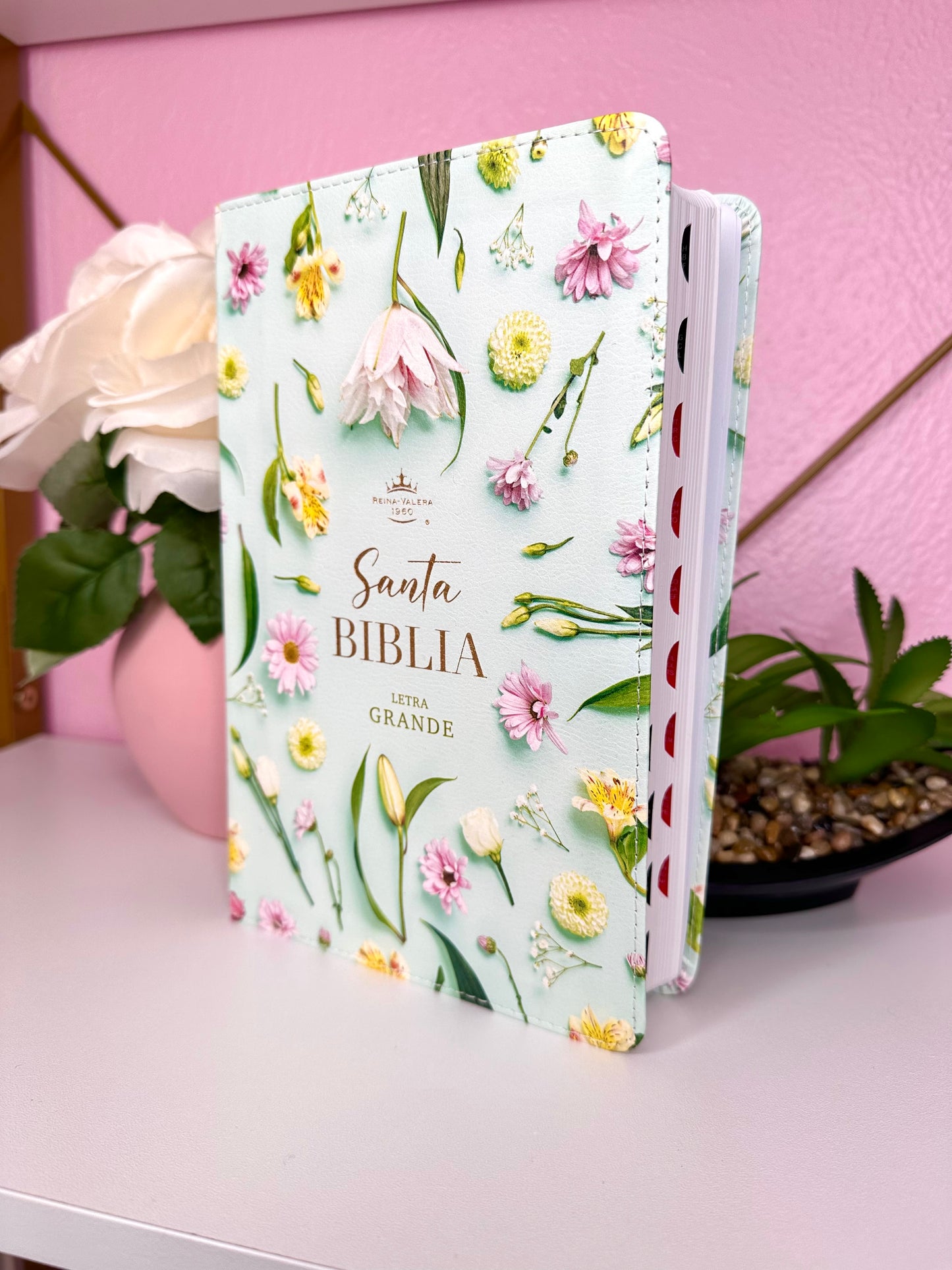 BIBLIA TURQUEZA CON INDICE