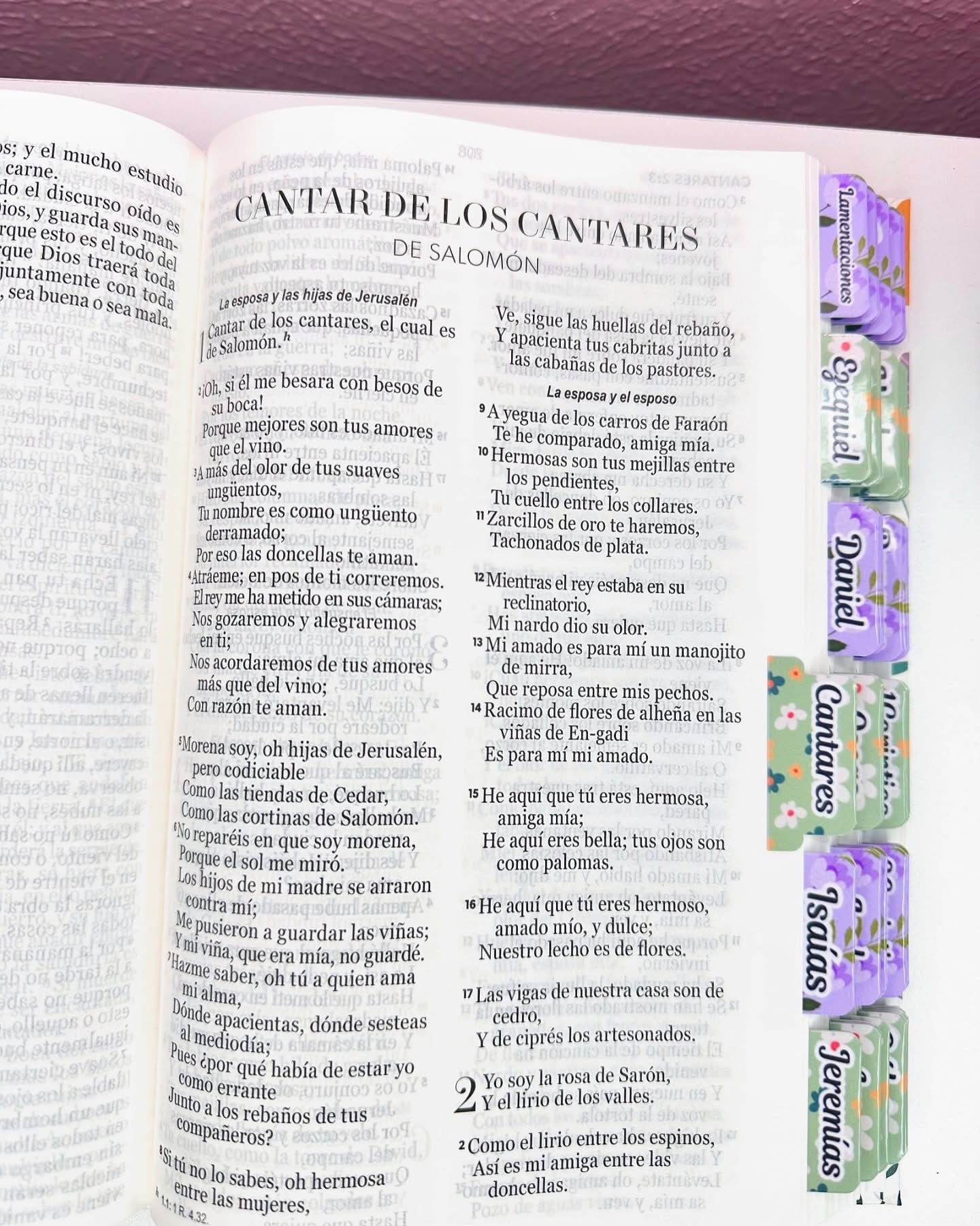 BIBLIA TAPA FLEX, TAMAÑO MANUAL, DISEÑO FLORES MULTICOLOR